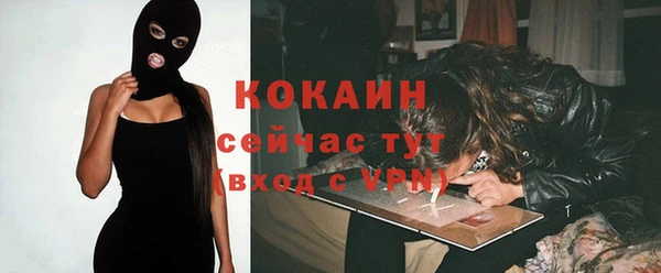 мескалин Бородино