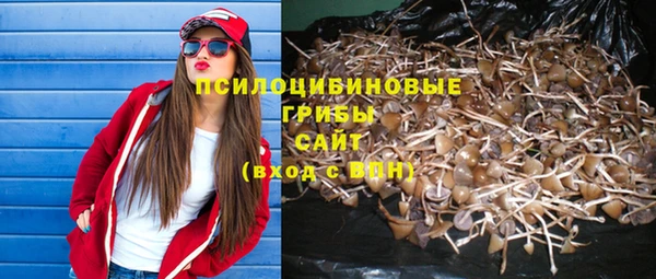 мескалин Бородино