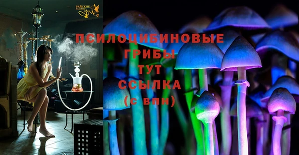 мескалин Бородино