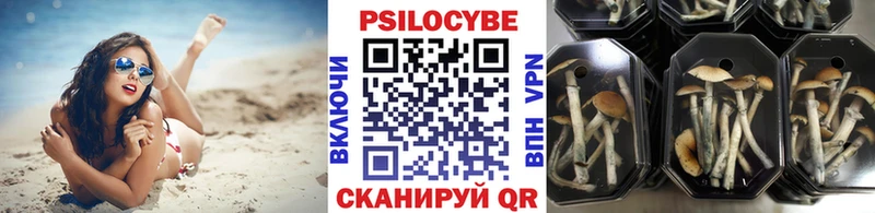 Галлюциногенные грибы мухоморы  наркота  Пойковский 